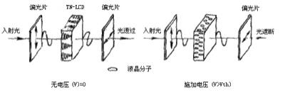 TN型電光效應的原理